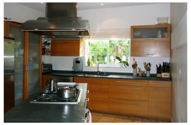 Kitchen - Miami house Biscayne Point Alejandra Sanoja Design