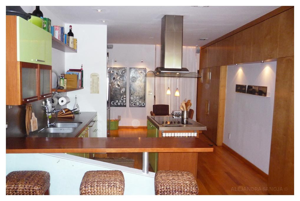Kitchen - Miami Beach Alvarez House Alejandra Sanoja Design