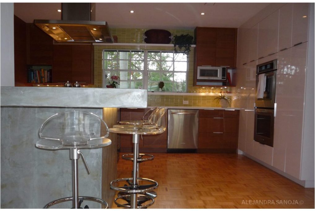 AleSanoja_Kitchen_Pinecrest_3